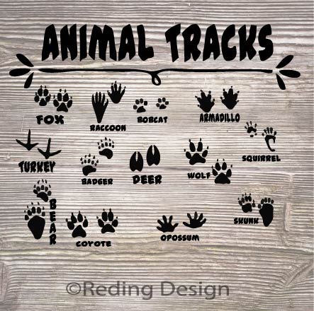 Animal Tracks SVG PNG DXF Digital Cut File